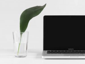 A laptop next to a glass with a leaf in it