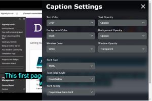 Screenshot showing caption settings